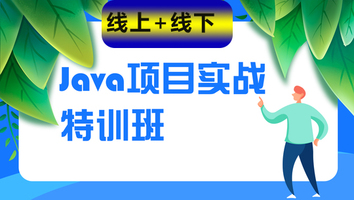 java项目实战特训班